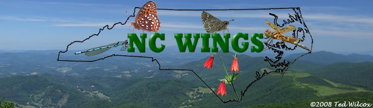 ncwings logo